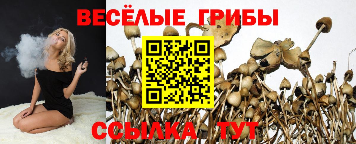 купить   Вход с VPN  Кировск  Псилоцибиновые грибы ЛСД 